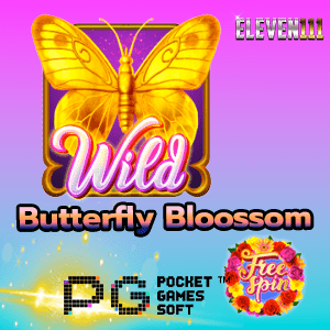 butterfly-blossom-eleven-บทความ