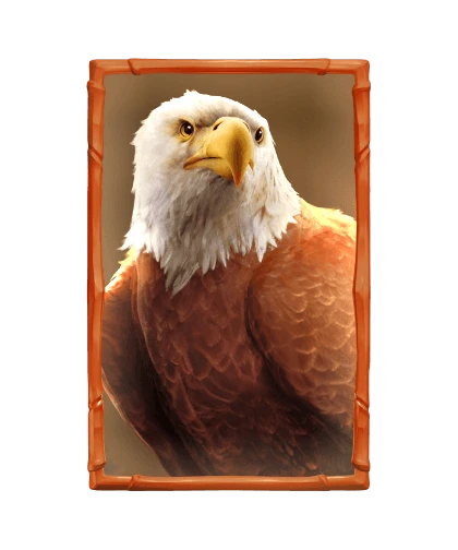 Buffalo Win-บัพฟาโร่วิน-สล็อตpgใหม่2024-เว็บตรง-111pgslot